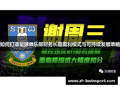 如何打造足球俱乐部财务长期盈利模式与可持续发展策略