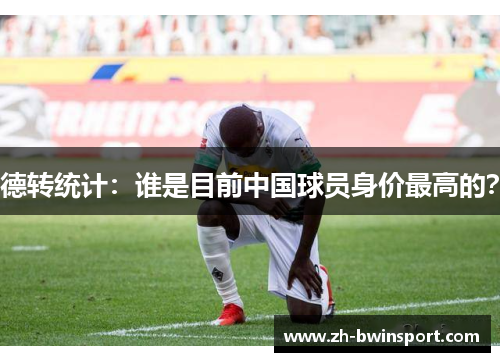 德转统计：谁是目前中国球员身价最高的？