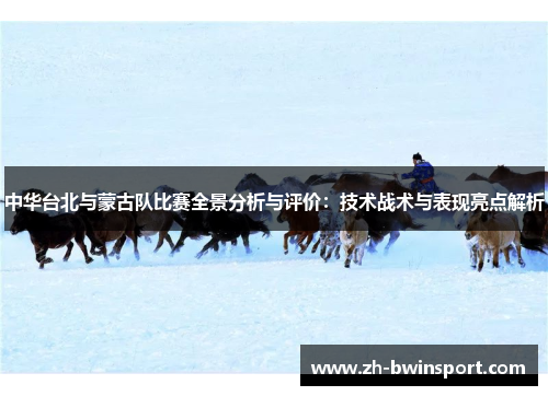 中华台北与蒙古队比赛全景分析与评价：技术战术与表现亮点解析