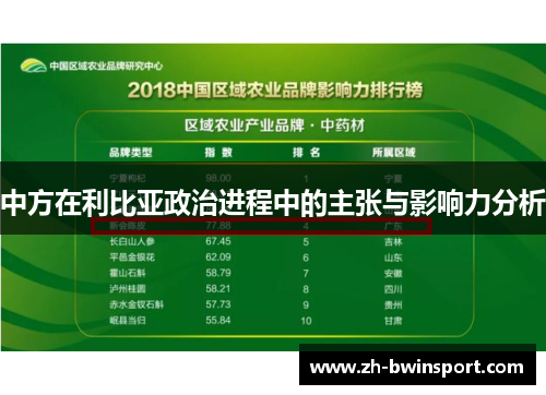 中方在利比亚政治进程中的主张与影响力分析
