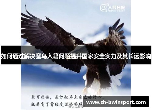 如何通过解决塞鸟入籍问题提升国家安全实力及其长远影响