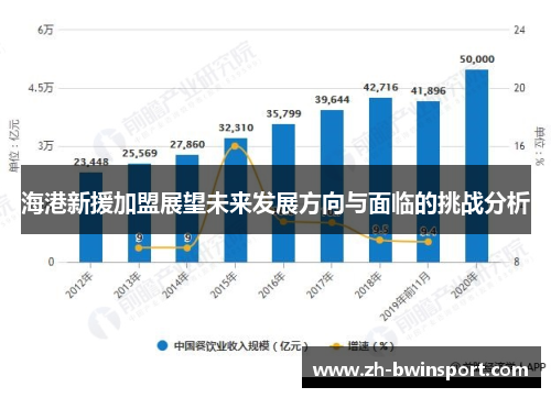 海港新援加盟展望未来发展方向与面临的挑战分析